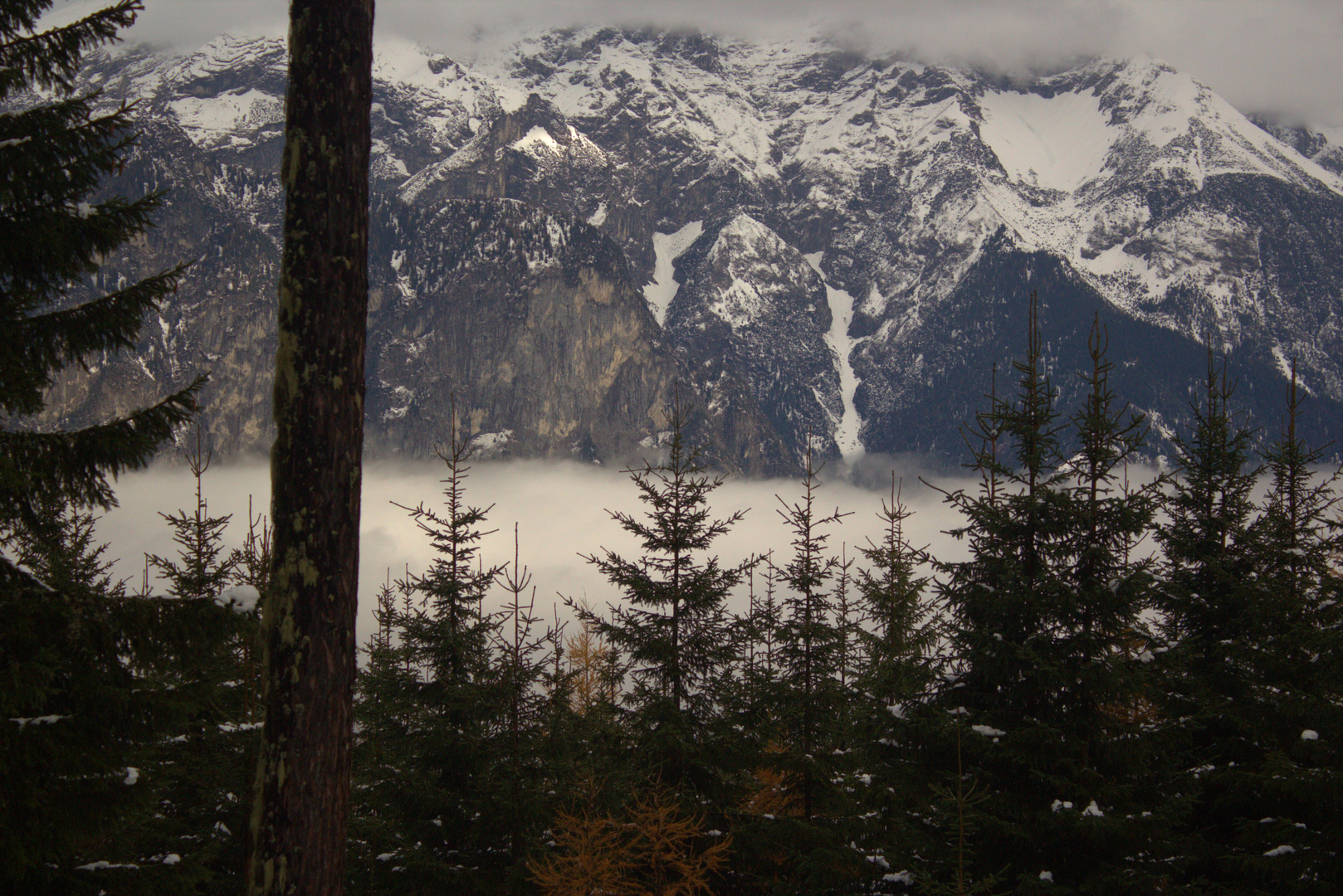 Fensterblick