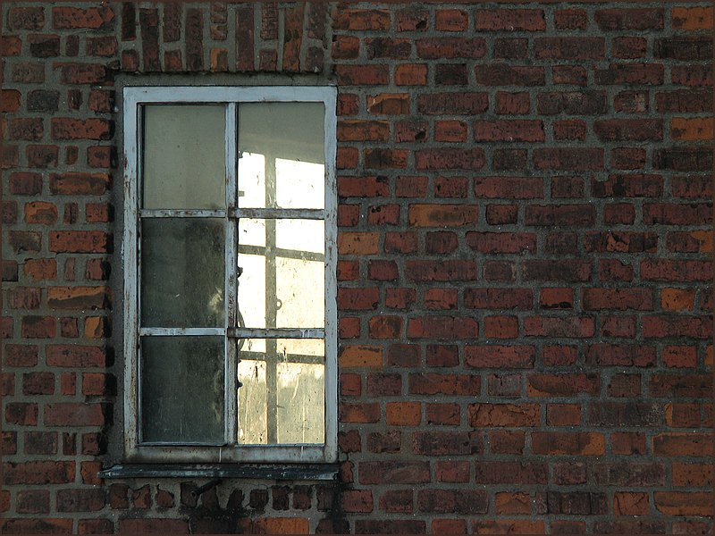 Fensterblick