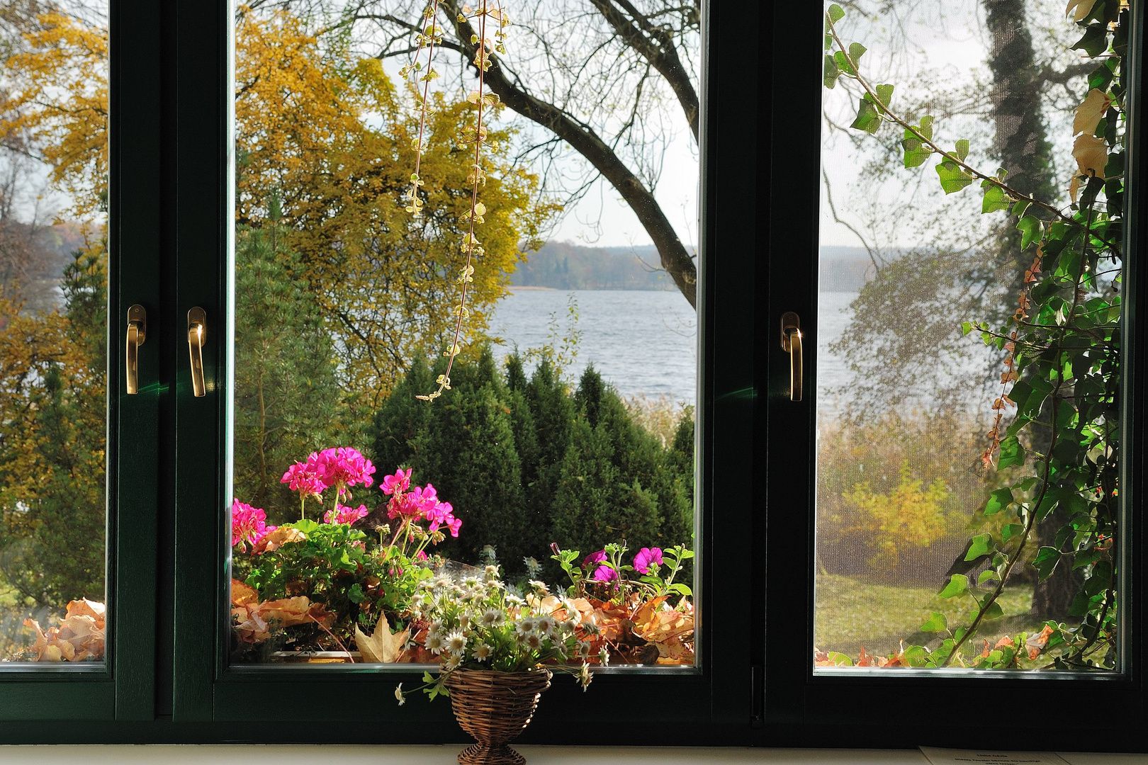 Fensterblick Foto & Bild landschaft, garten & parklandschaften