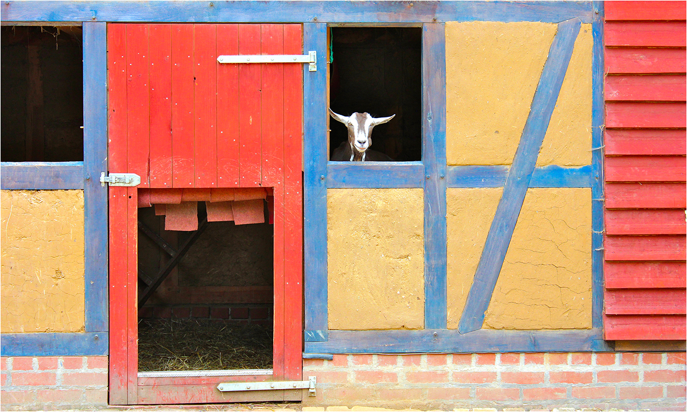 Fensterblick