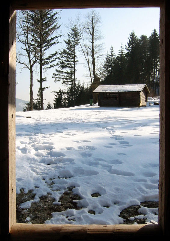 Fensterblick