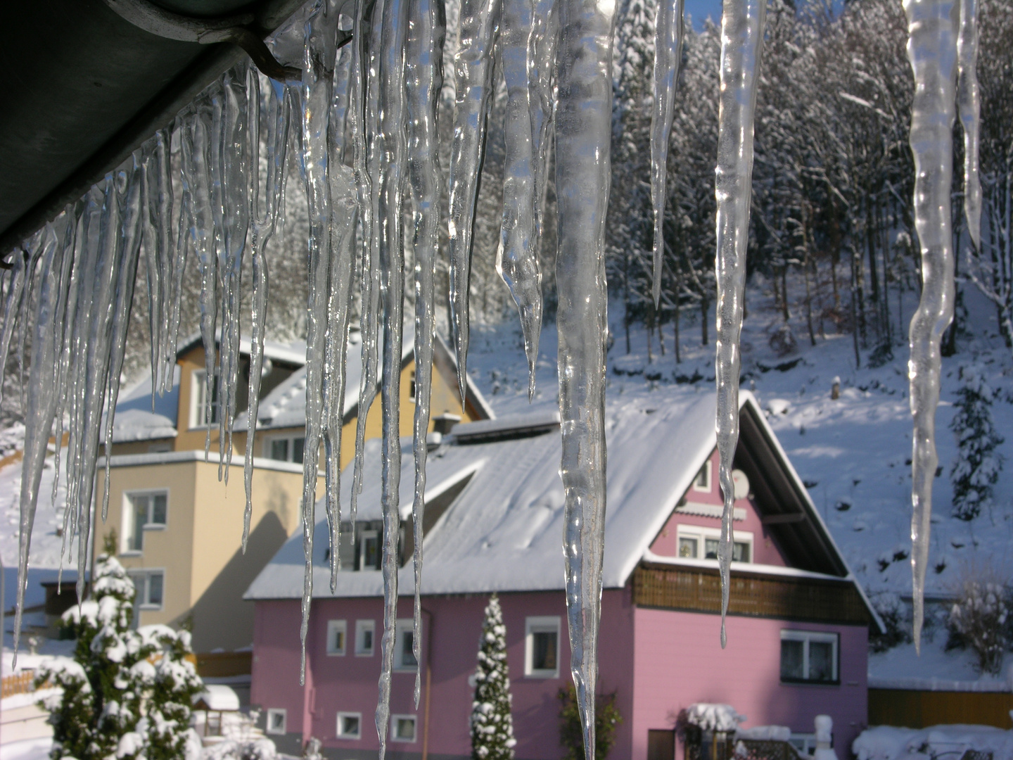 Fensterblick