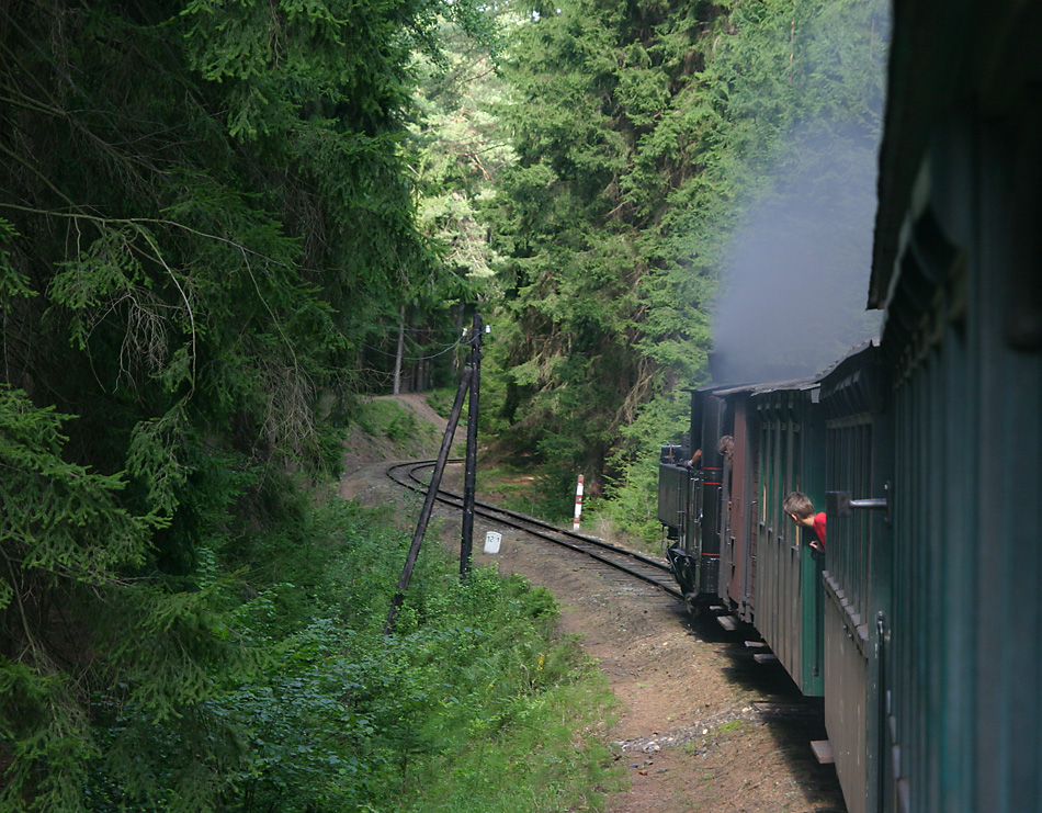 Fensterblick