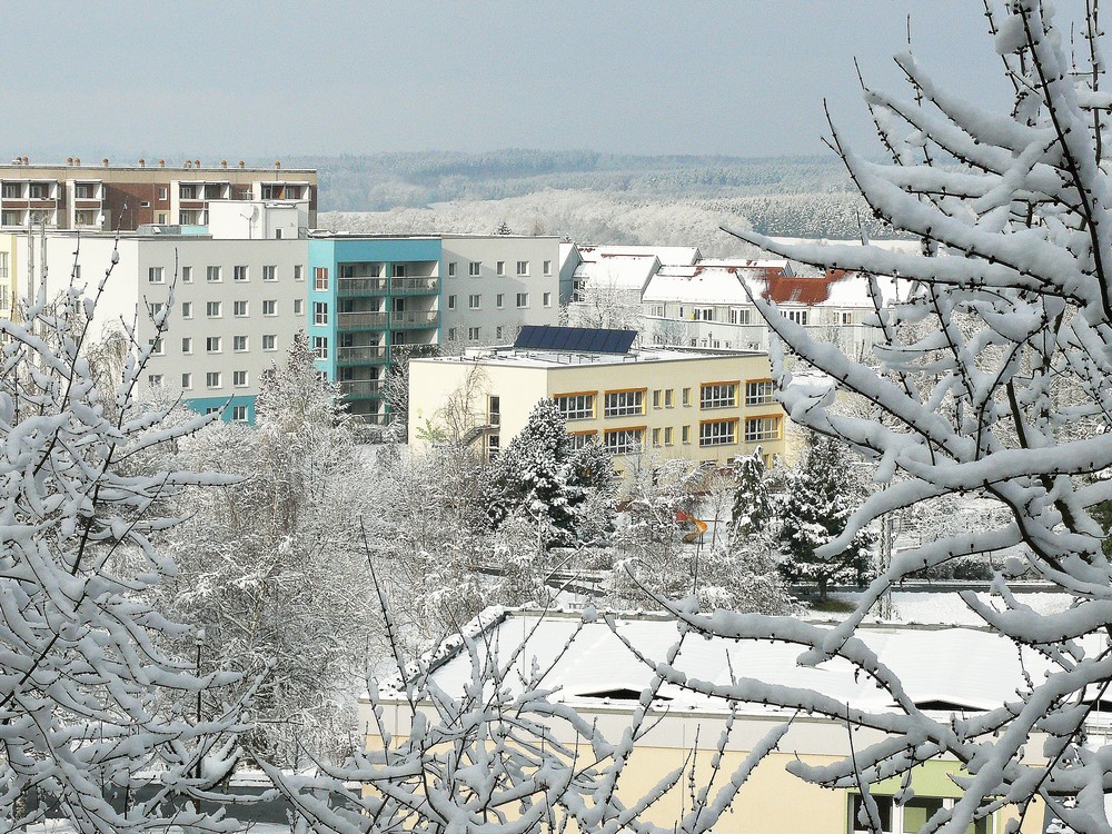 Fensterblick