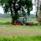 Fensterblick