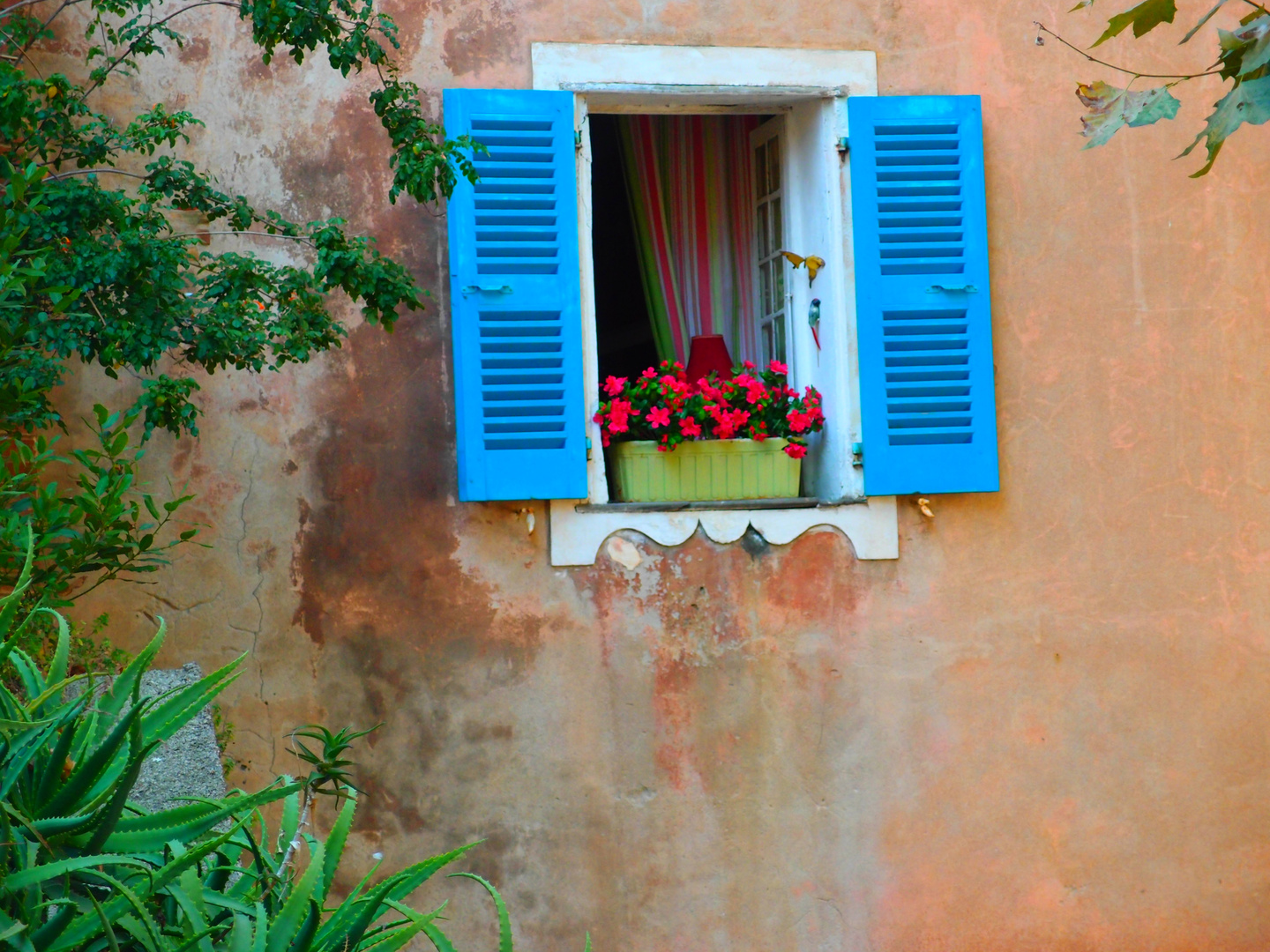 Fensterblick