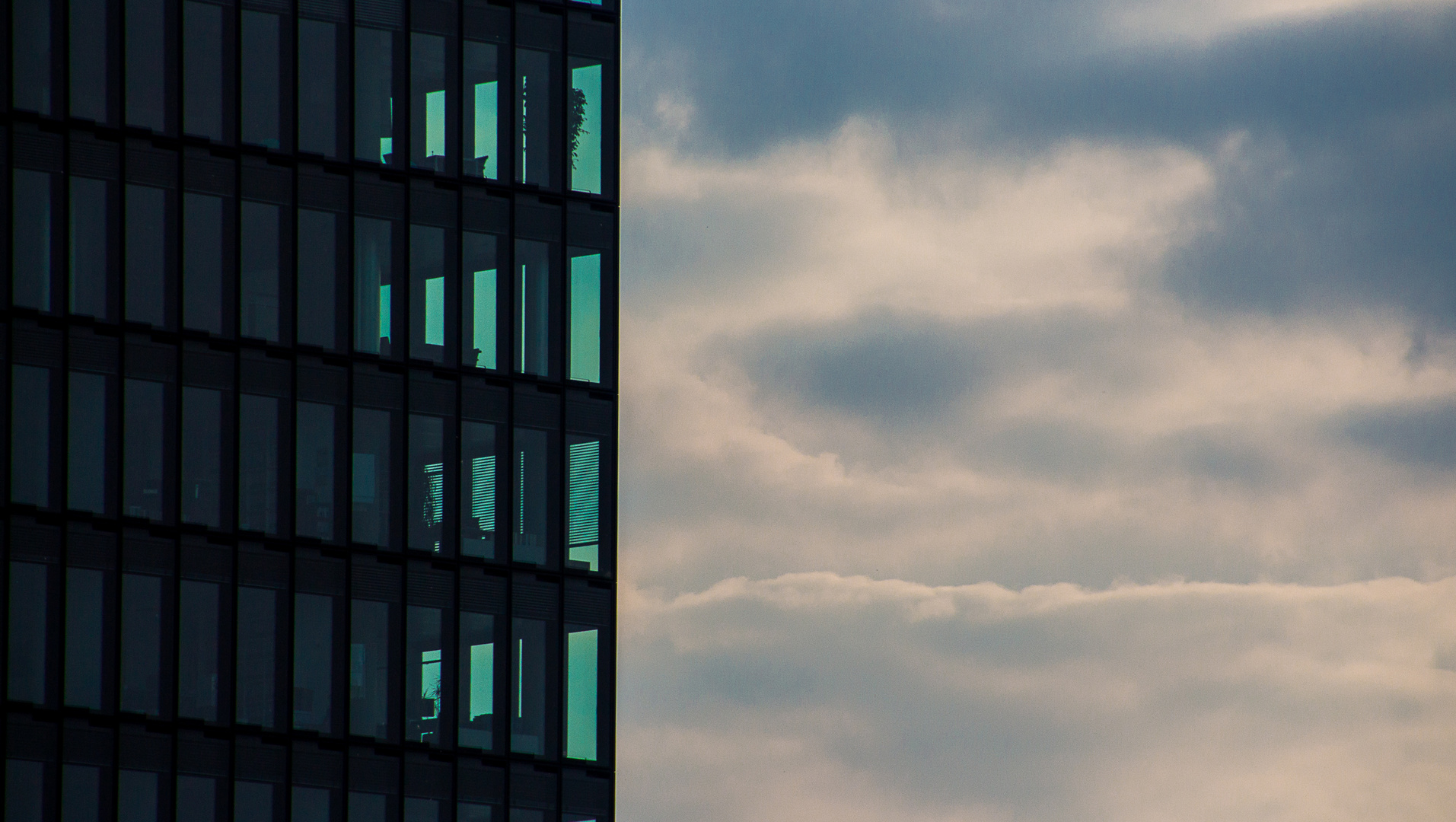 Fensterblick