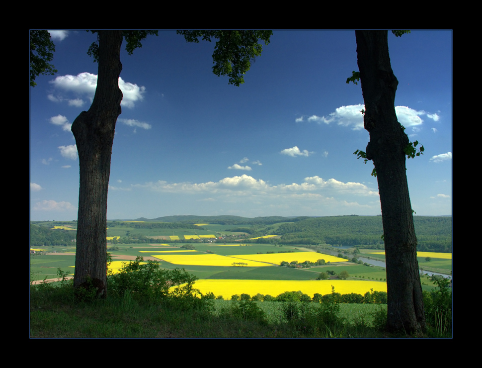 Fensterblick auf blühende Landschaft - (12. DER REIHE: WAS MAN MIT RAPS...)