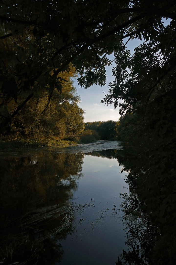 Fensterblick auf die Oker