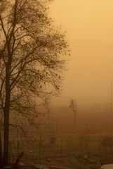 Fensterblick