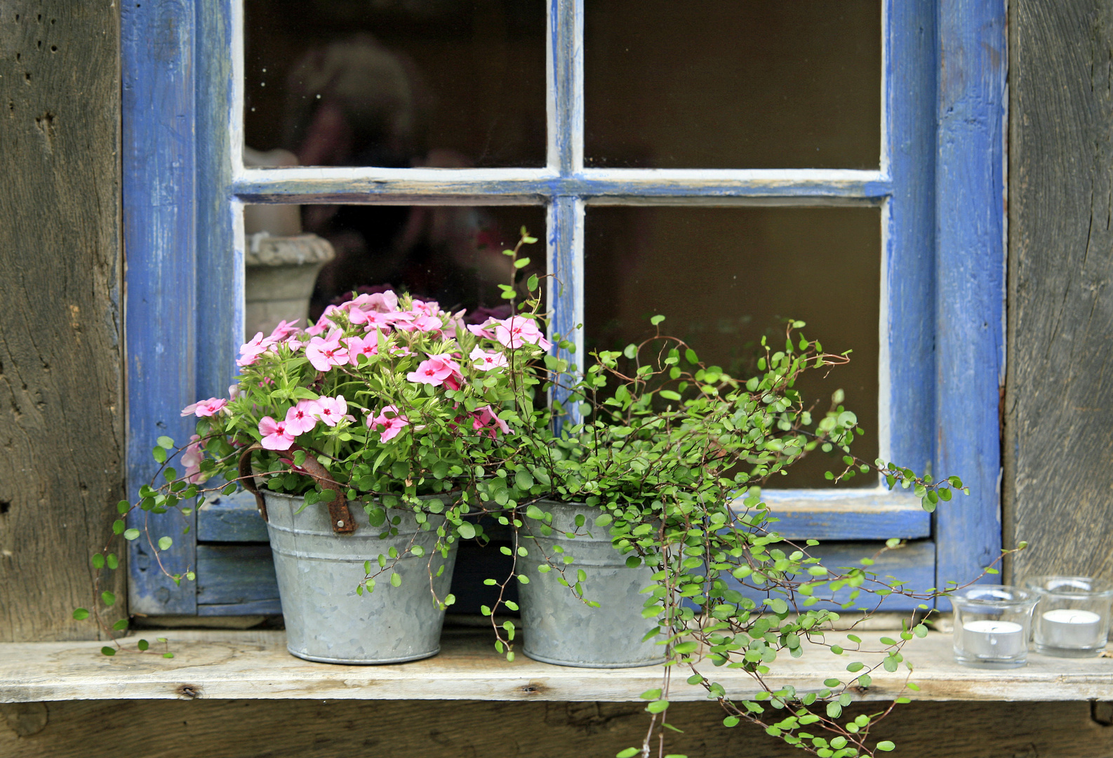 Fensterblick............