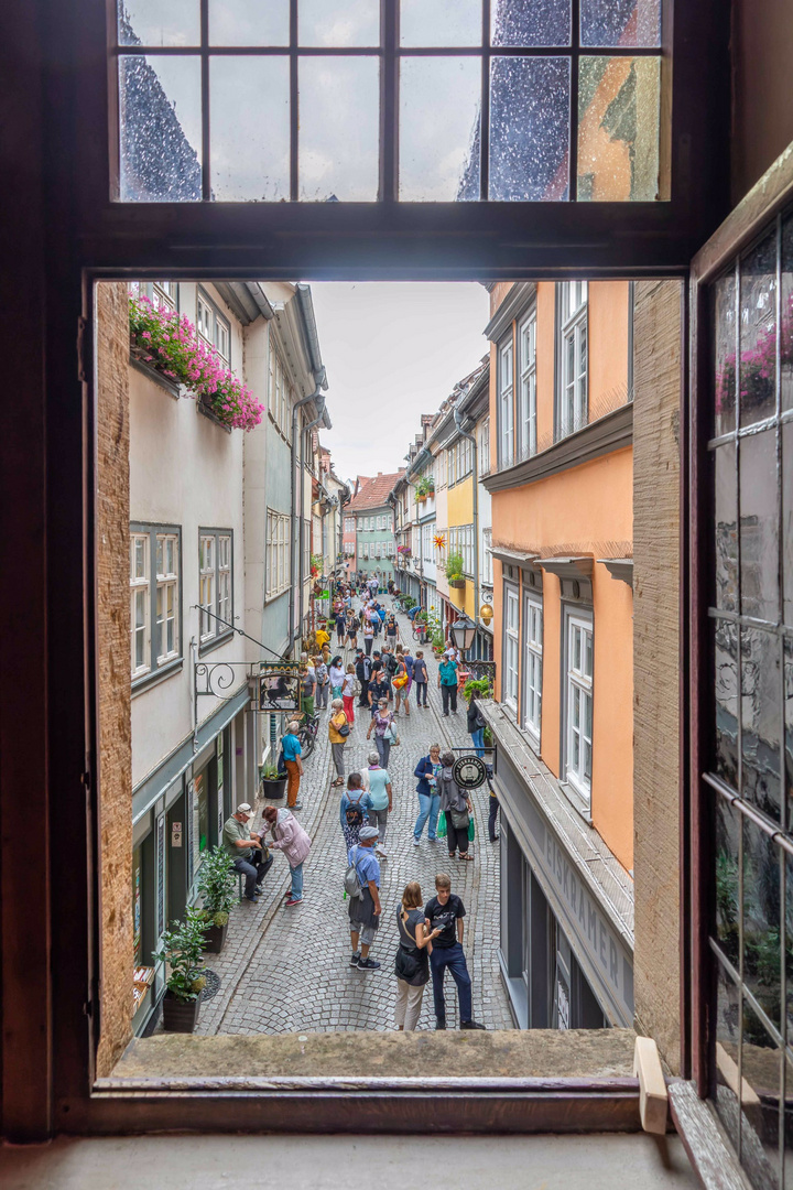 Fensterblick