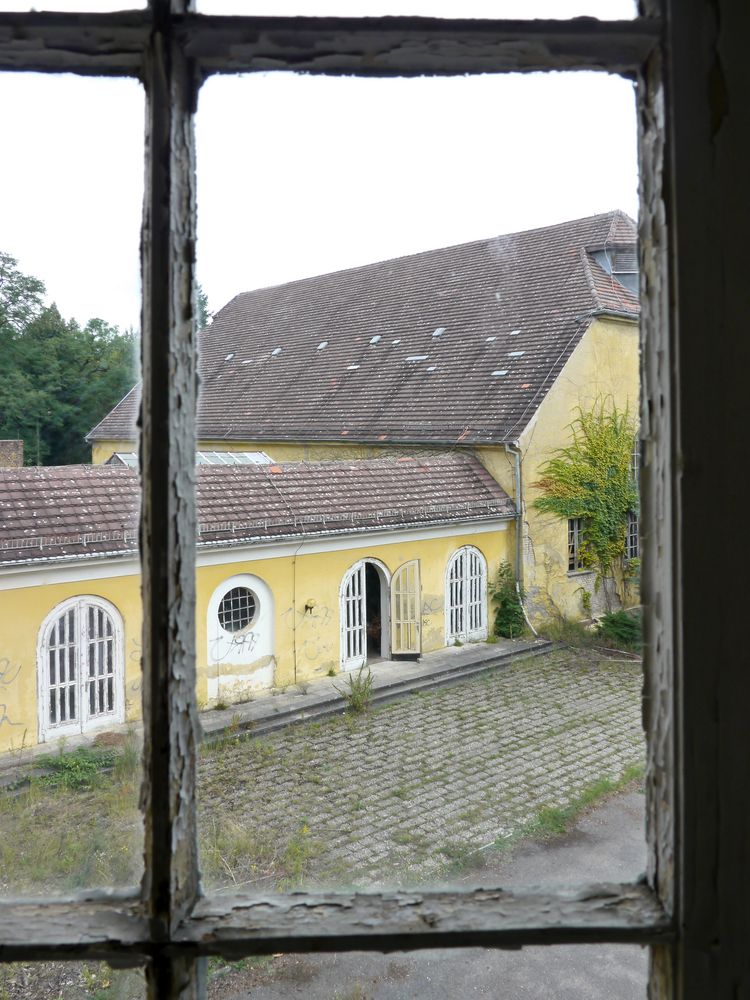 Fensterblick