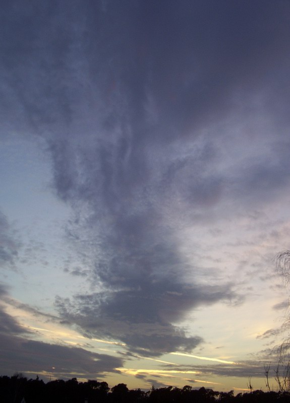 fensterblick