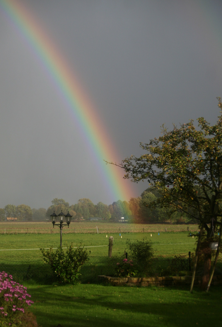 fensterblick II