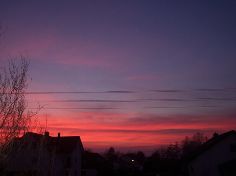 Fensterblick in RosaRot