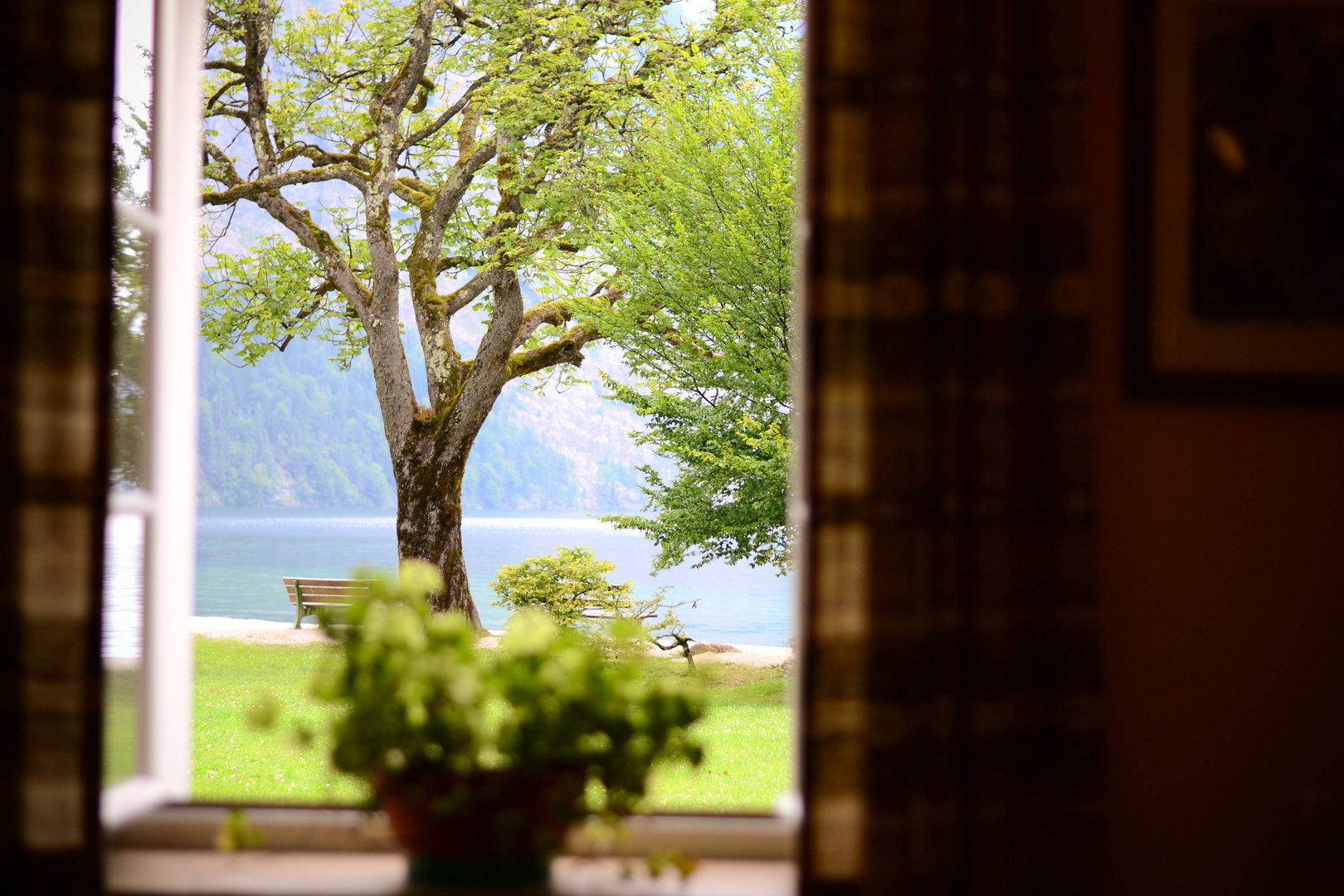 Fensterblick Königssee