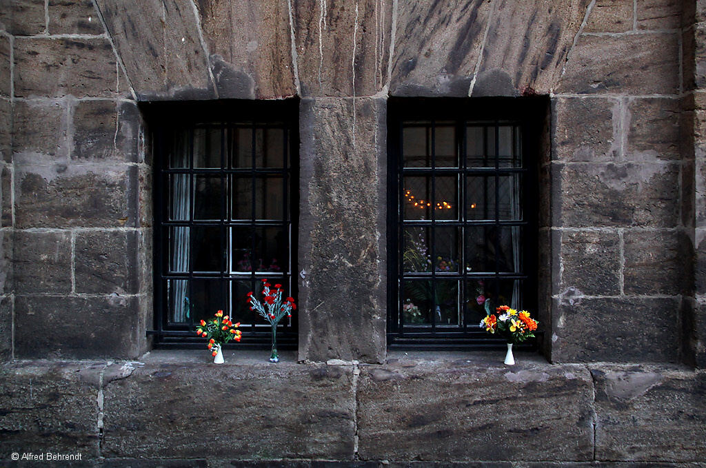 Fensterblumen