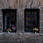 Fensterblumen