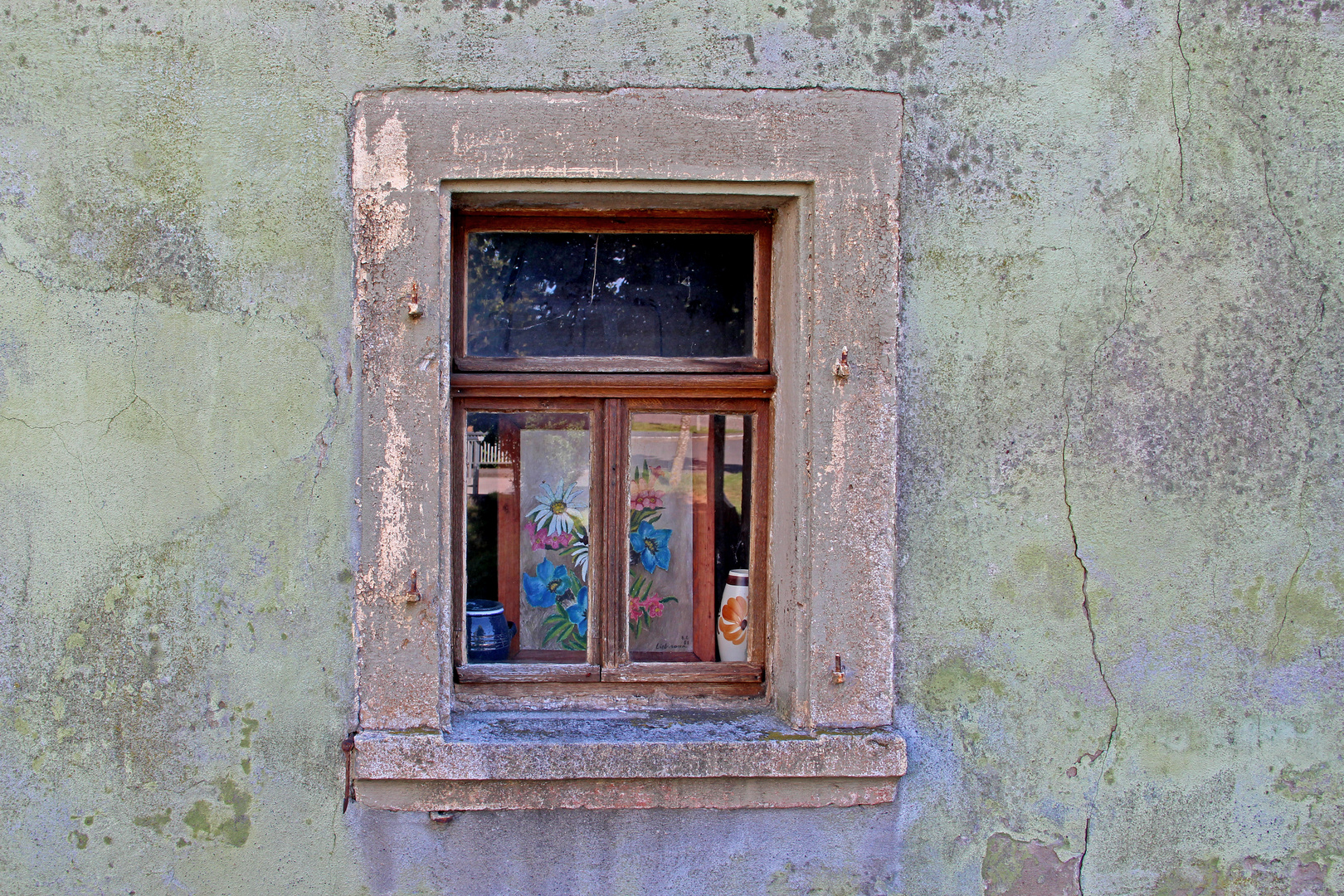 Fensterblumen