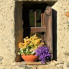 Fensterchen in Grevasalvas ...