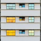 Fensterfassaden in blau & gold 