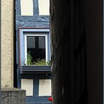 Fensterfront