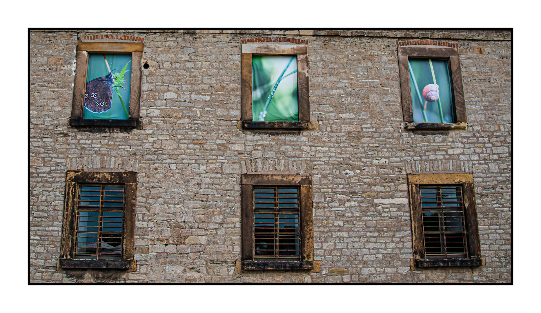 Fensterfront auf der BUGA in Erfurt