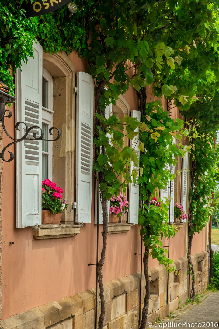 Fensterfront der Weinstube Oskar Jülg Schweigen