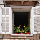 Fensterfront in Split