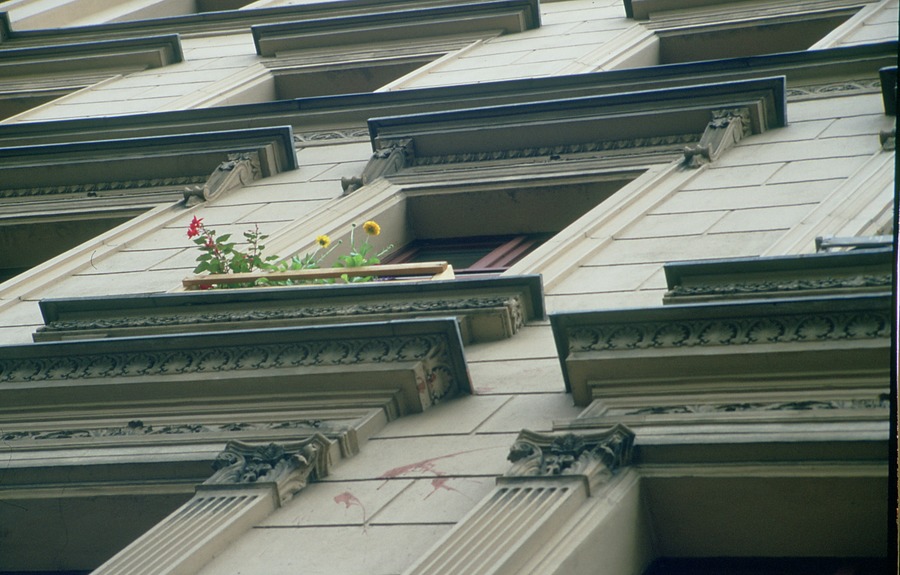 Fenstergarten in Berlin Kreuzberg