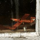 Fenstergeschichten - Der Flieger