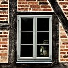 Fenstergucker