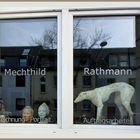 Fenstergucker