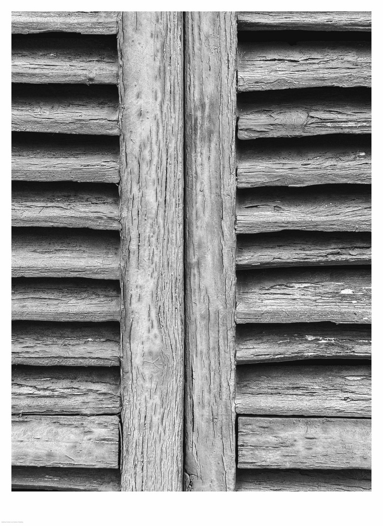 Fensterladen