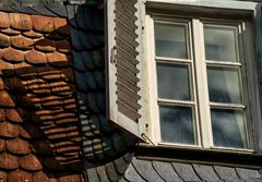 Fensterladen im Fürstenlager (Bensheim Auerbach)