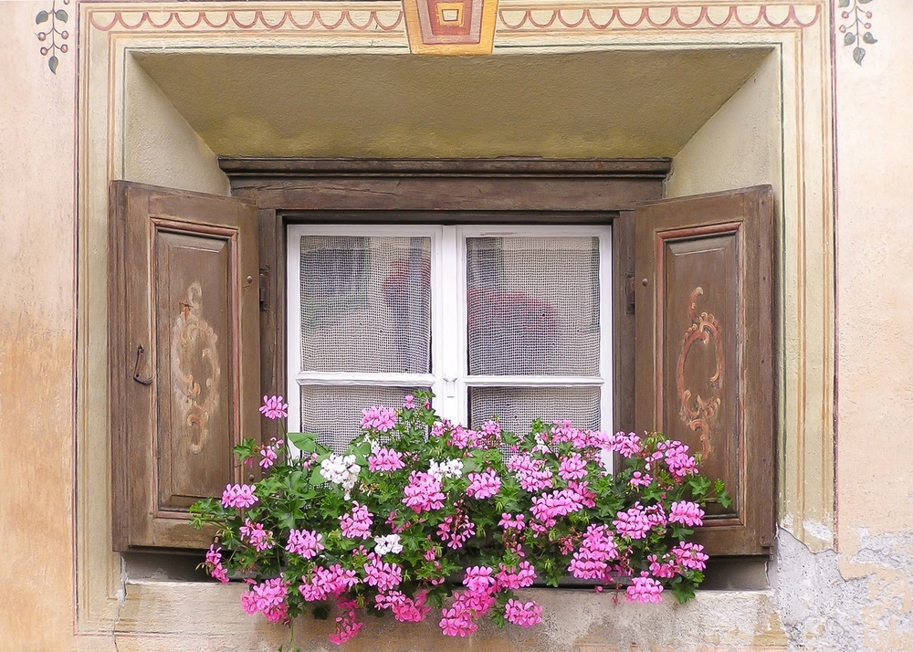 Fenstermotiv in Scuol