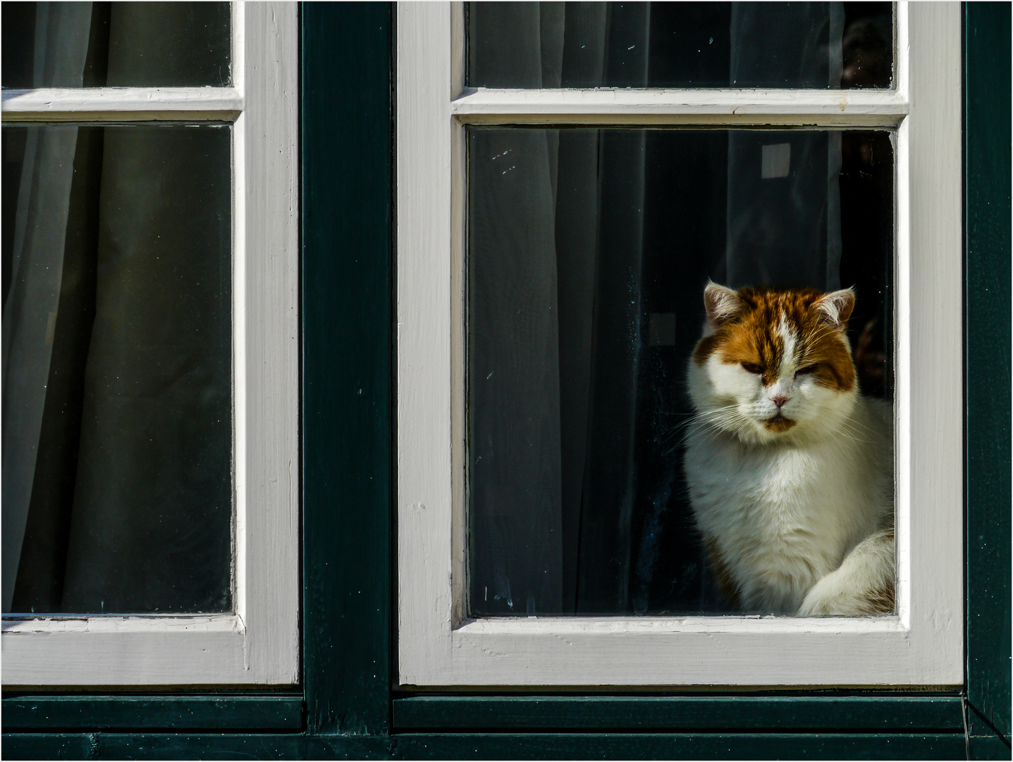 Fensterplatz