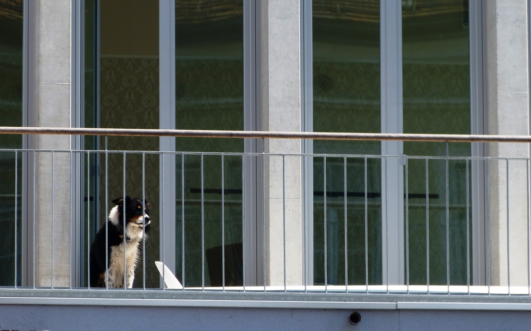 Fensterplatz, aber nicht wirklich hundslustig oder?