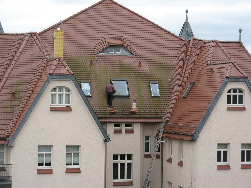 Fensterputzer