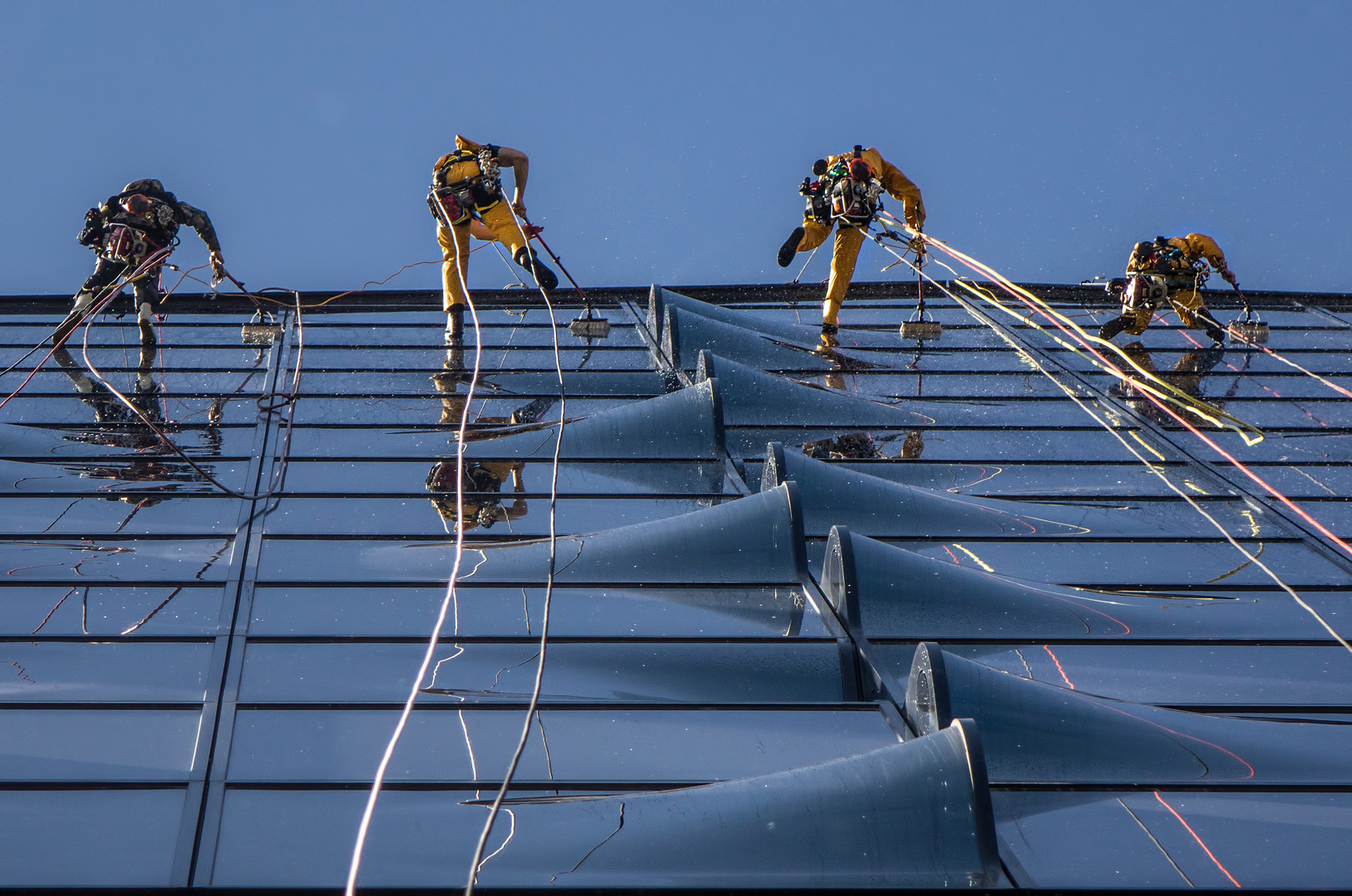 Fensterputzer an der Elphi -3-