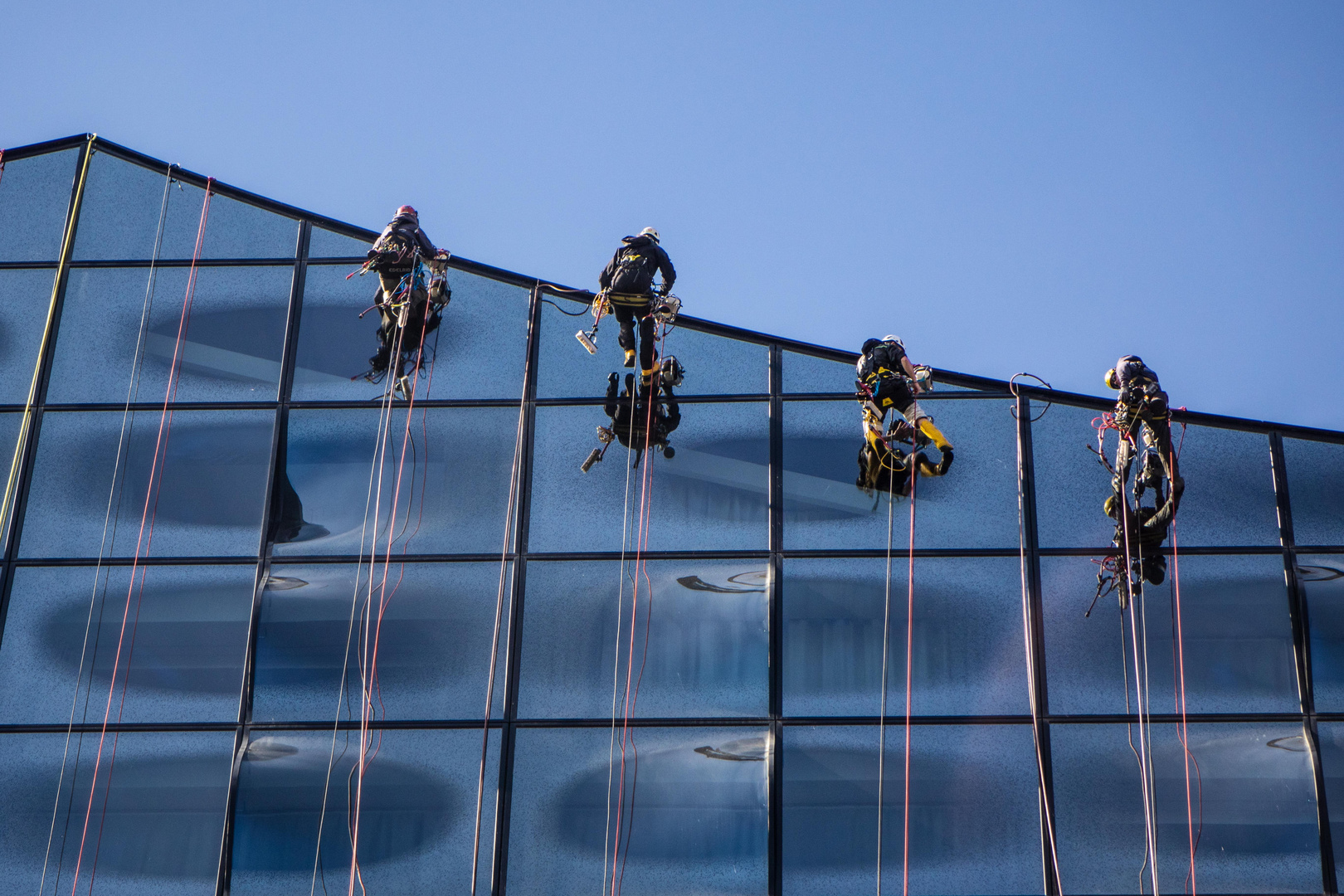 Fensterputzer an der Elphi