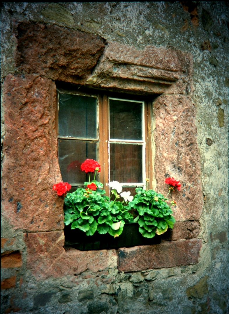 Fensterrahmen der schon viel erlebt hat !