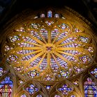Fensterrosette der Kathedrale in Metz