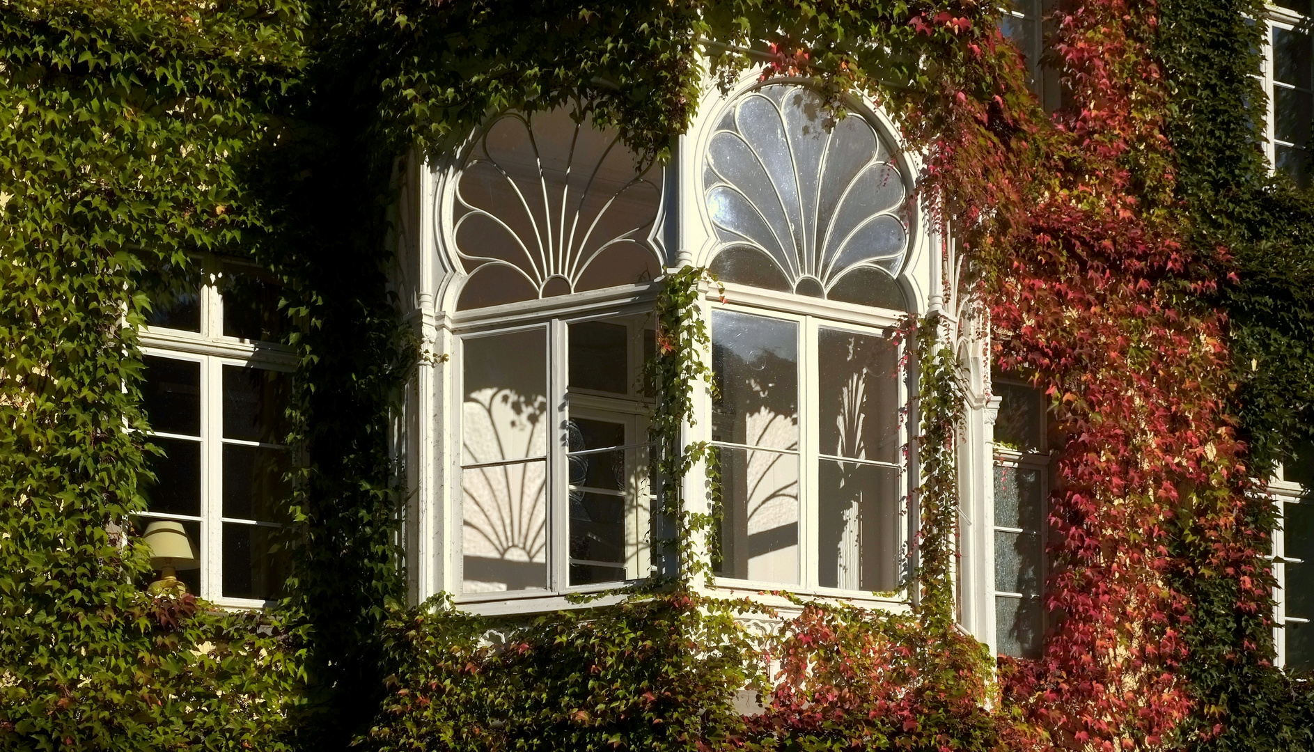 Fensterschatten