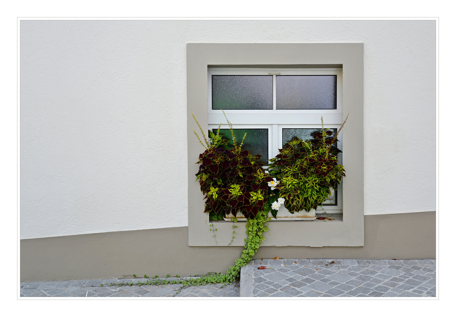 Fensterschmuck - 1