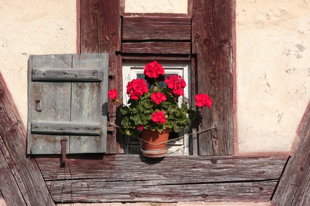 Fensterschmuck