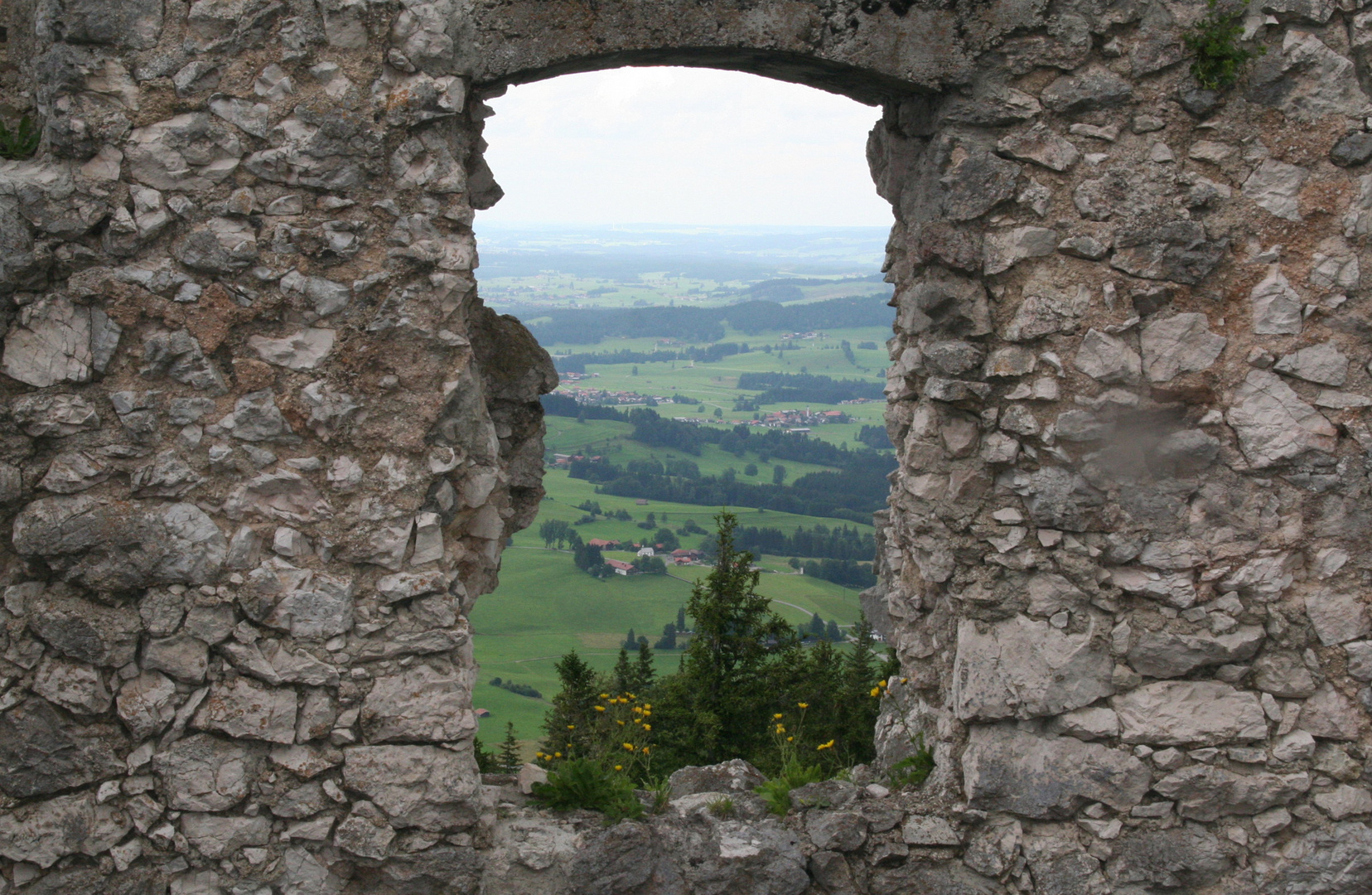 Fensterschmuck