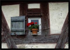 Fensterschmuck