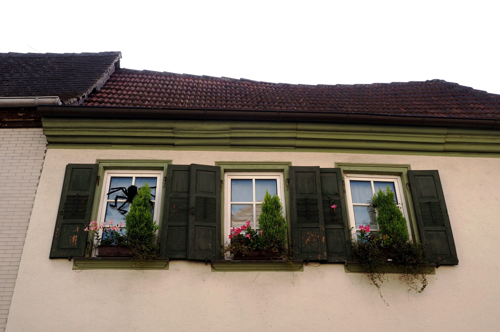 Fensterschmuck